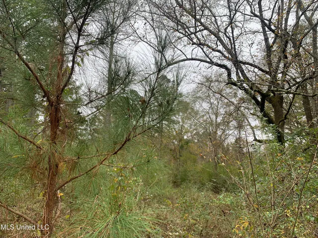 $275,000 | 3607 Highway 43a, Silver Creek, MS 39663