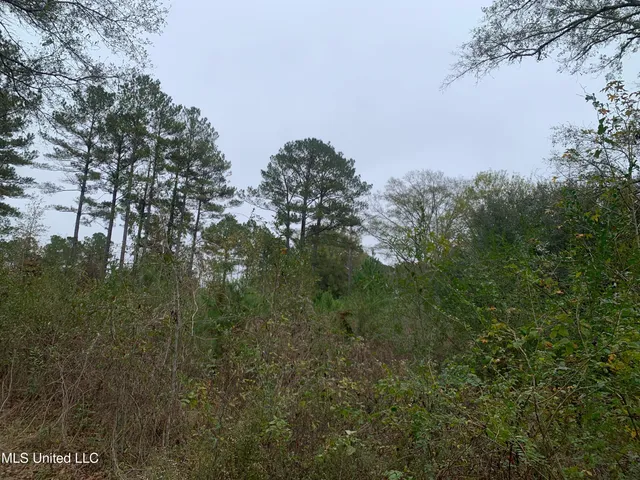 $275,000 | 3607 Highway 43a, Silver Creek, MS 39663