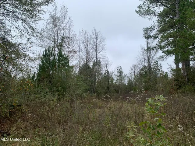 $275,000 | 3607 Highway 43a, Silver Creek, MS 39663