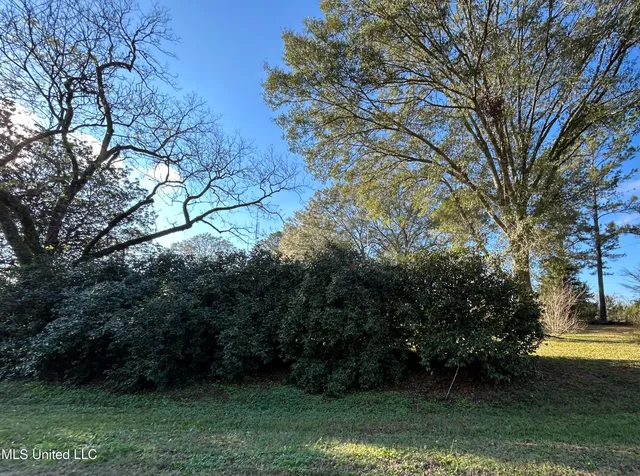 $275,000 | 3607 Highway 43a, Silver Creek, MS 39663