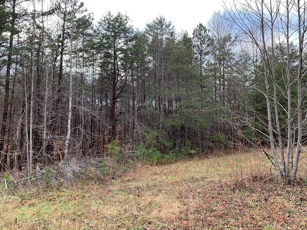 Deer Ridge Trail South Boston, VA 24592 - Photo 8 of 10 Gallery Image 8