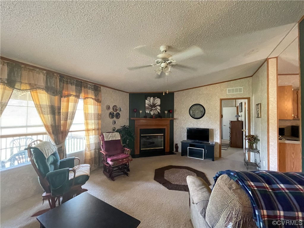 2950 Old Poole Road Alberta, VA 23821 - Photo 3 of 19 a living room with fireplace furniture and a large window