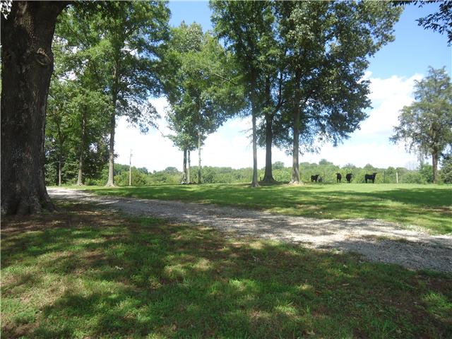 34700 Ardmore Ridge Road Ardmore, TN 38449 - Photo 12 of 16