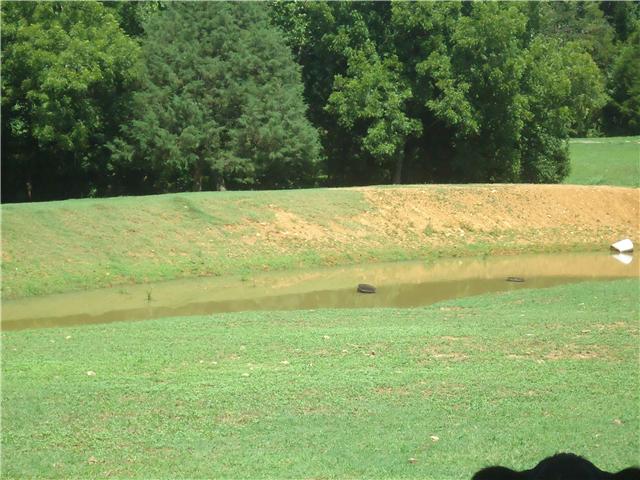 34700 Ardmore Ridge Road Ardmore, TN 38449 - Photo 14 of 16