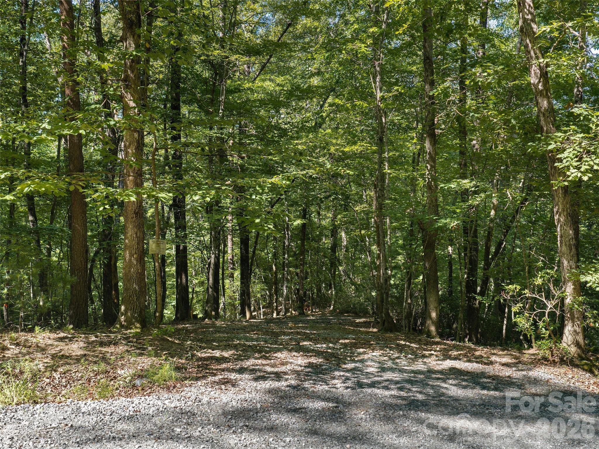 Lot #13 South Cove Rd Mill Spring Mill Spring, NC 28756 - Photo 8 of 16 a view of a yard with large trees