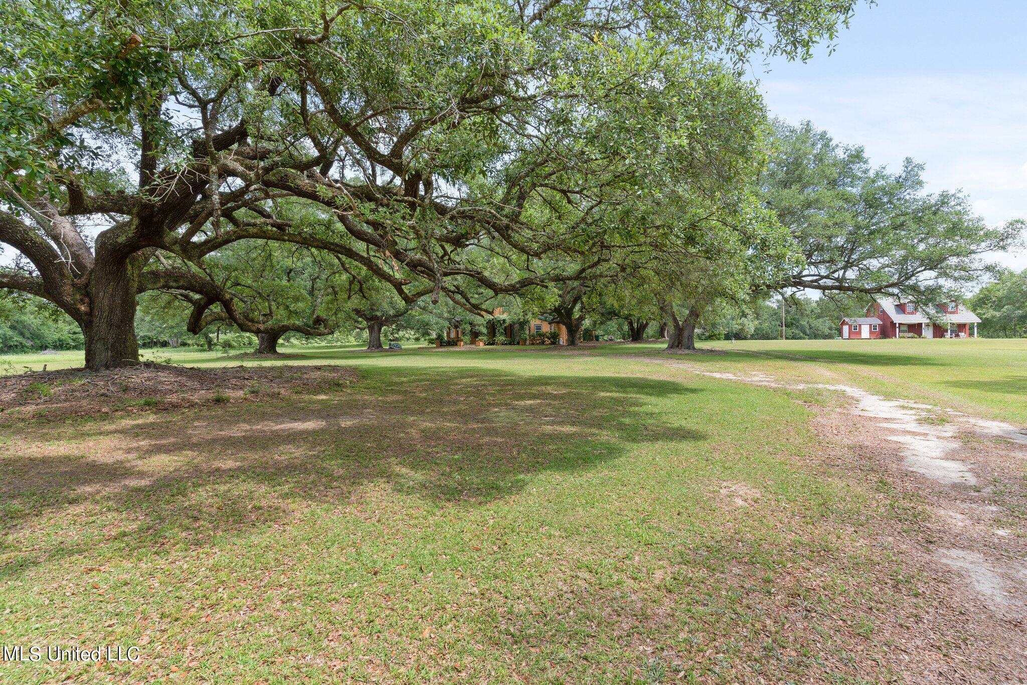 24394 Standard Dedeaux Road Kiln, MS 39556 - Photo 2 of 43 2-web-or-mls-We Snap Real Estate_Kilnpro