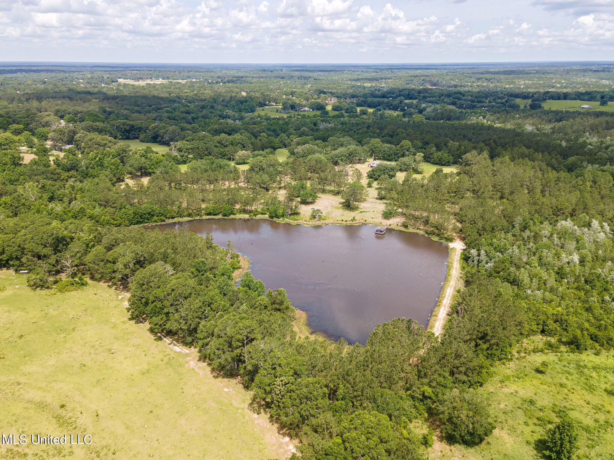 24394 Standard Dedeaux Road Kiln, MS 39556 - Photo 4 of 43 4-web-or-mls-We Snap Real Estate_Kilnpro