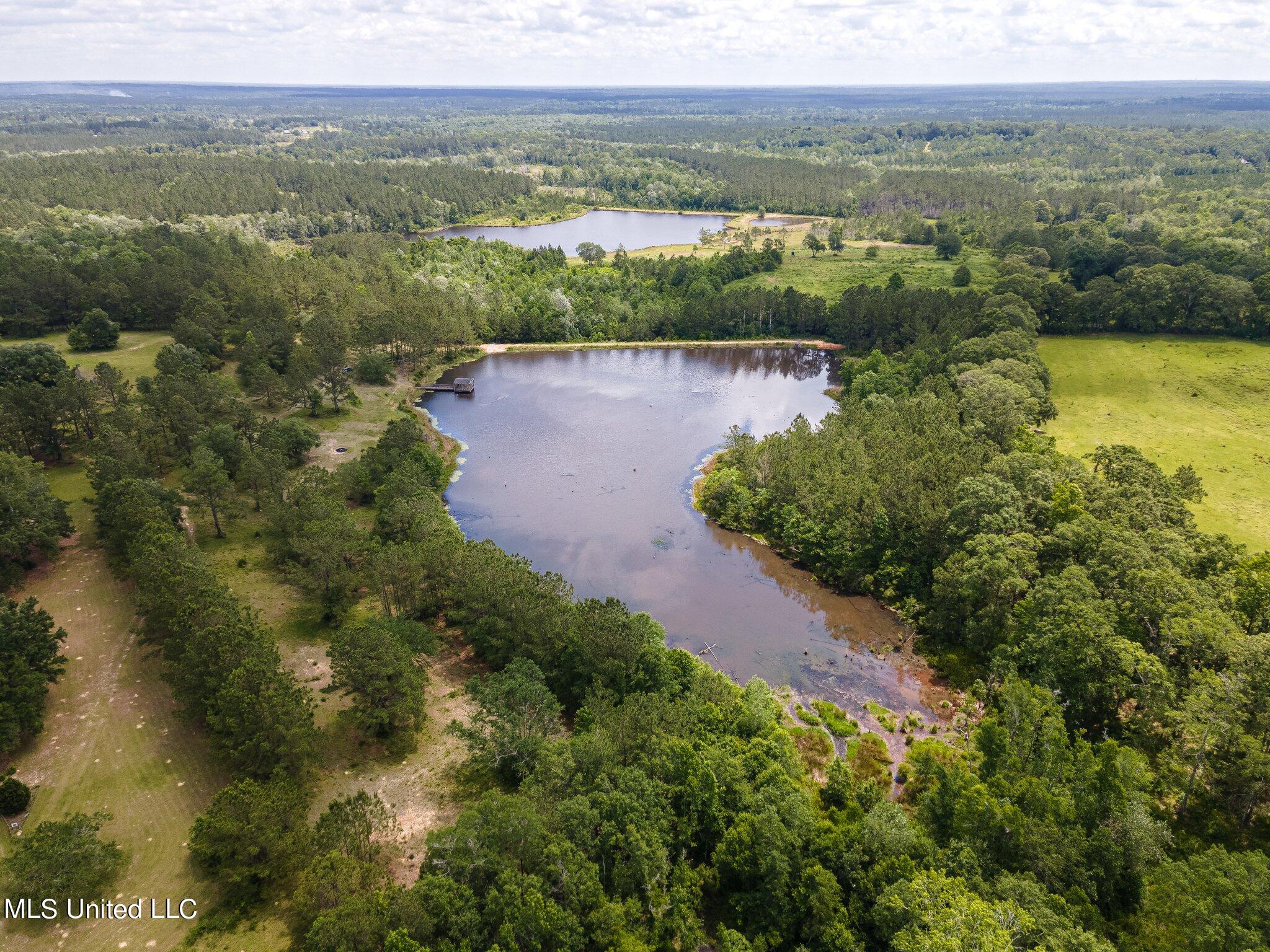 24394 Standard Dedeaux Road Kiln, MS 39556 - Photo 5 of 43 5-web-or-mls-We Snap Real Estate_Kilnpro