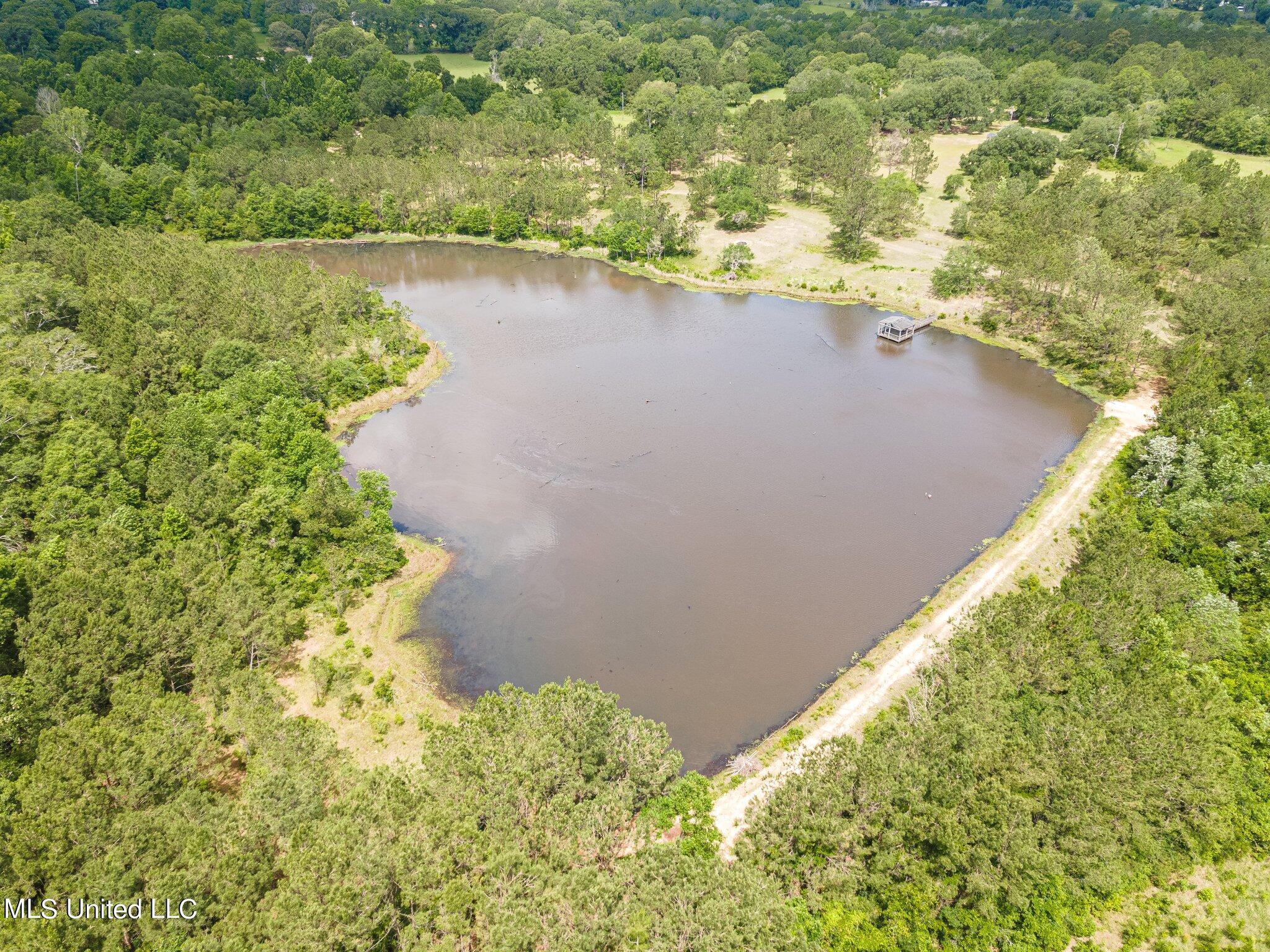 24394 Standard Dedeaux Road Kiln, MS 39556 - Photo 7 of 43 7-web-or-mls-We Snap Real Estate_Kilnpro