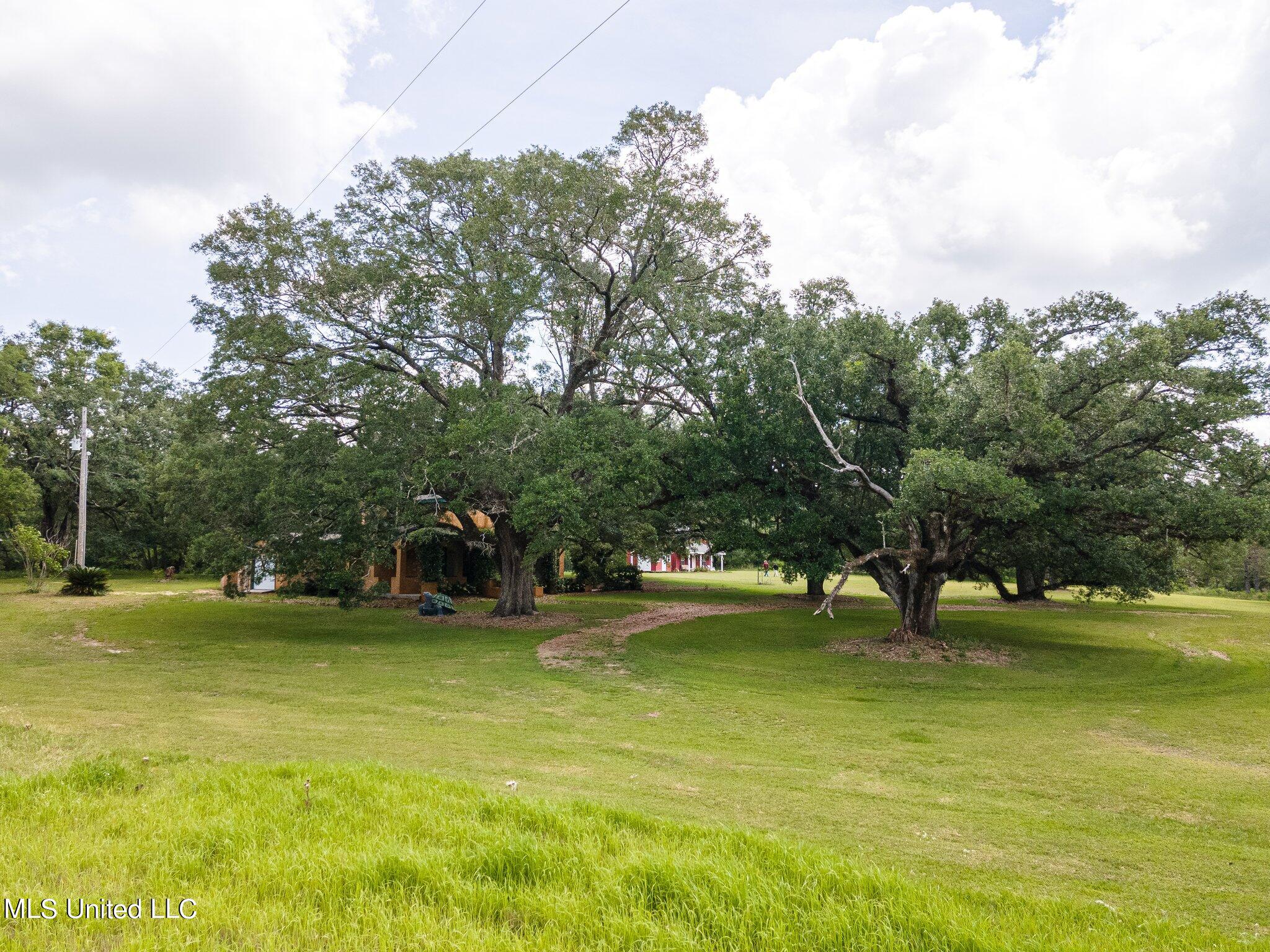 24394 Standard Dedeaux Road Kiln, MS 39556 - Photo 10 of 43 10-web-or-mls-We Snap Real Estate_Kilnpr