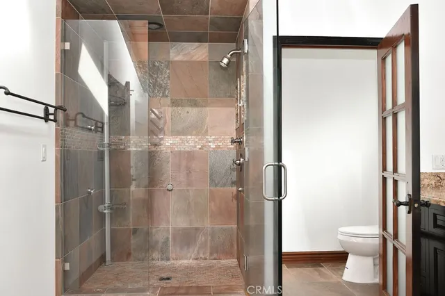 a bathroom with a shower and toilet