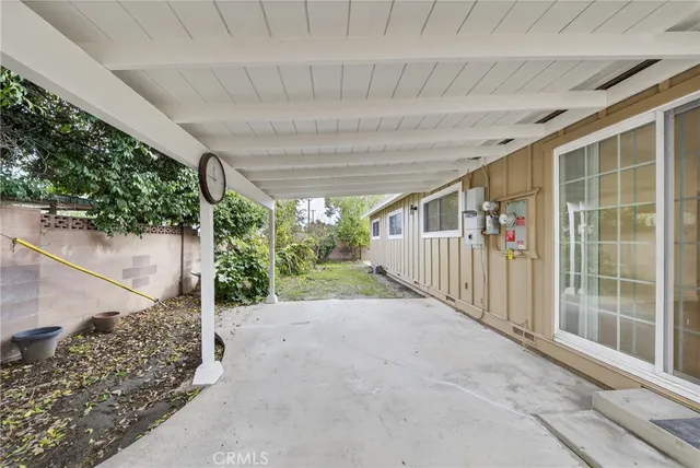 a view of backyard and tree