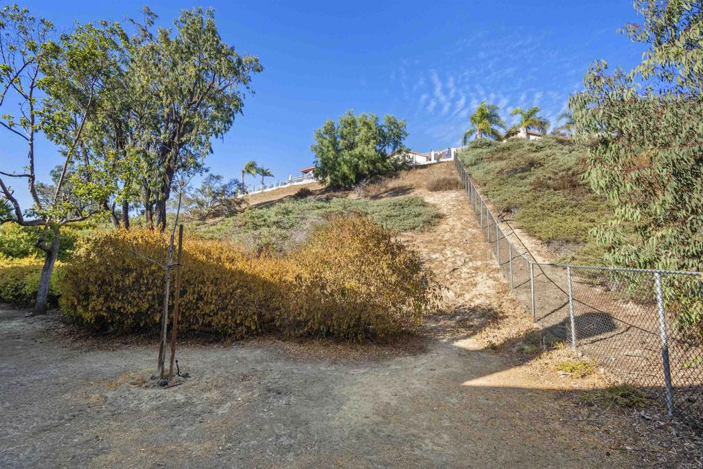 421 Windjammer Circle Chula Vista, CA 91910 - Photo 12 of 17 a view of a yard with an tree