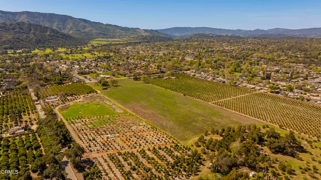 a view of a house with a tree