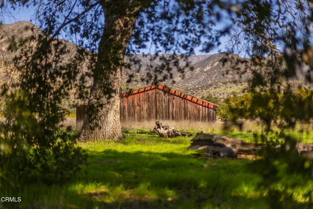 a view of yard with green space