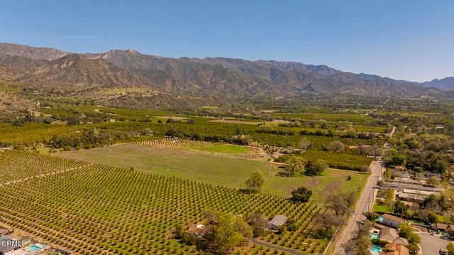 a view of yard with trees