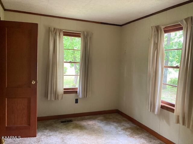 436 Carson Springs Road Newport, TN 37821 - Photo 18 of 20 IMG_3586