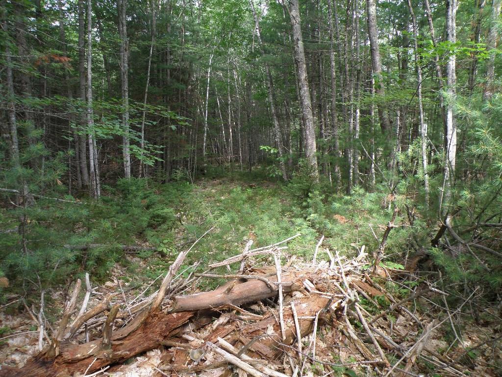 Lot 5 Oak Point Road Greenbush, ME 04418 - Photo 3 of 11 Photo