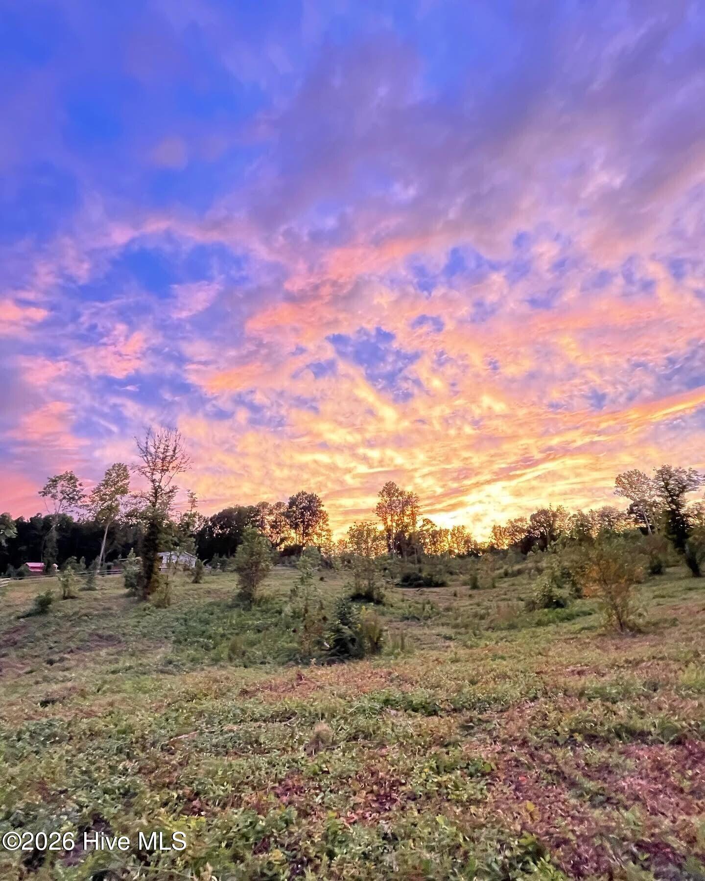 1595 Green Road Spring Hope, NC 27882 - Photo 52 of 52 Gallery Image 52