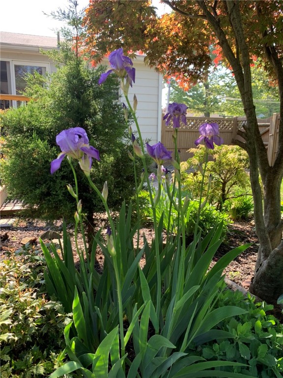 73 Custer Street Warwick, RI 02889 - Photo 22 of 37 Gallery Image 22