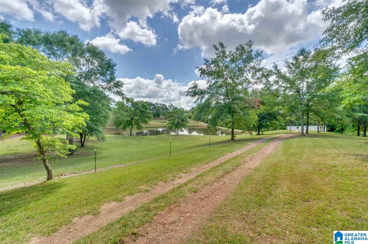 349 County Road 265 Clanton, AL 35046 - Photo 47 of 50