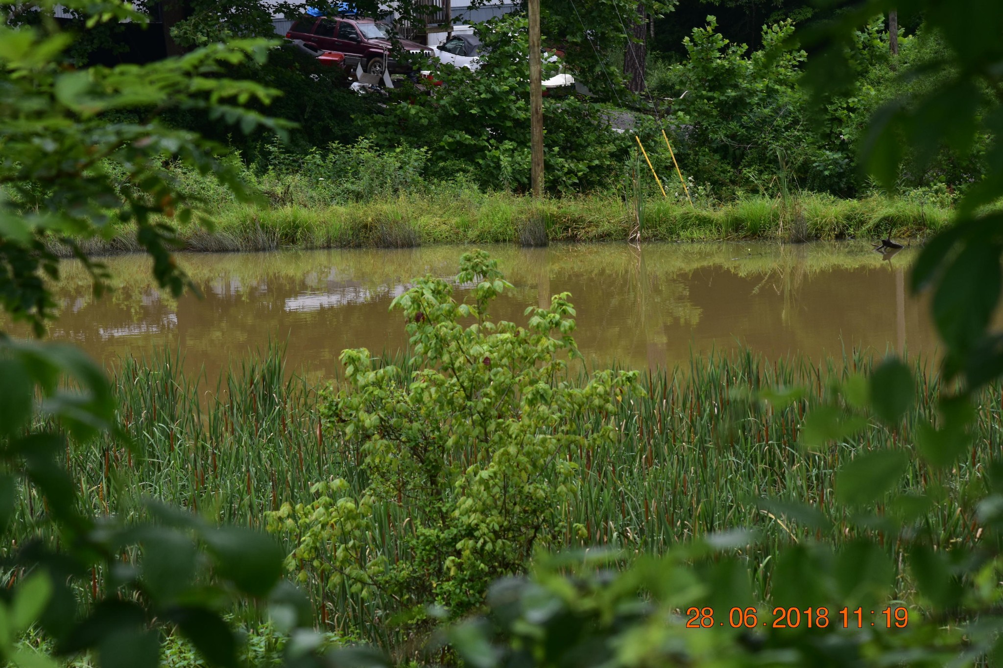 1176 Helton Road Bean Station, TN 37708 - Photo 31 of 37 a view of lake with green space