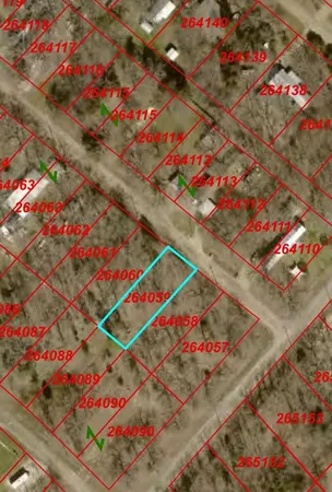 $35,000 | 0 Sam Houston Drive, Log Cabin, TX 75148