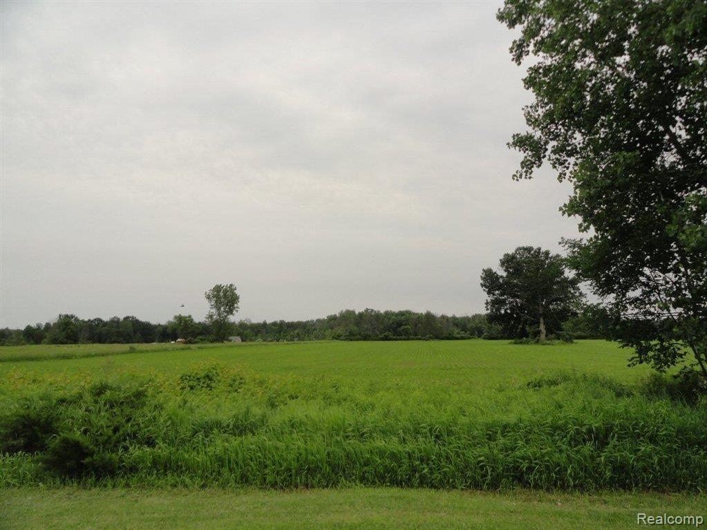3285 Bullock Road Brown City, MI 48416 - Photo 2 of 22 Farm Land.JPG
