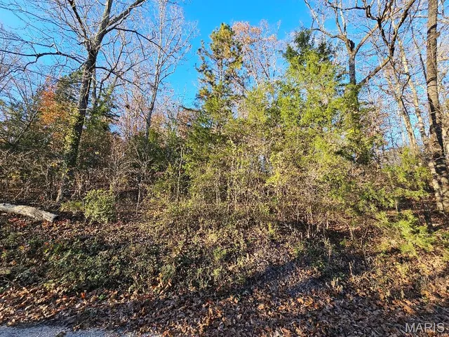 $18,500 | Lot 5-blk Carter 133, Van Buren, MO 63965