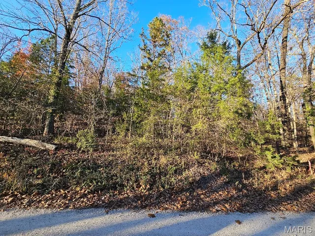 $18,500 | Lot 5-blk Carter 133, Van Buren, MO 63965