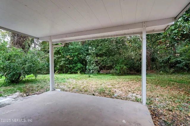 a tree in the middle of a yard