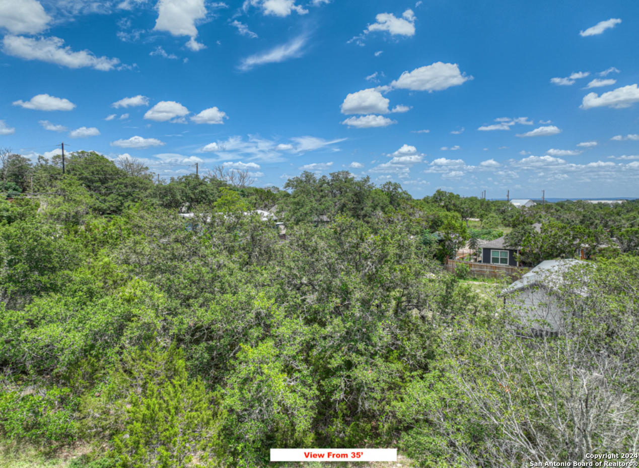 0 Cliff Drive Spring Branch, TX 78070 - Photo 9 of 22