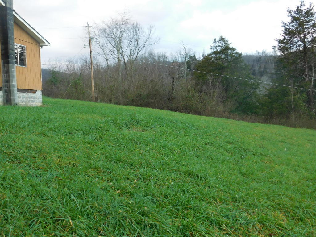 708 Thomas Road Speedwell, TN 37870 - Photo 2 of 5 20160102044006305722000000-o