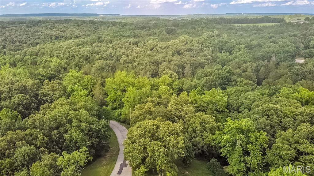 0 Watson Road Festus, MO 63028 - Photo 16 of 17