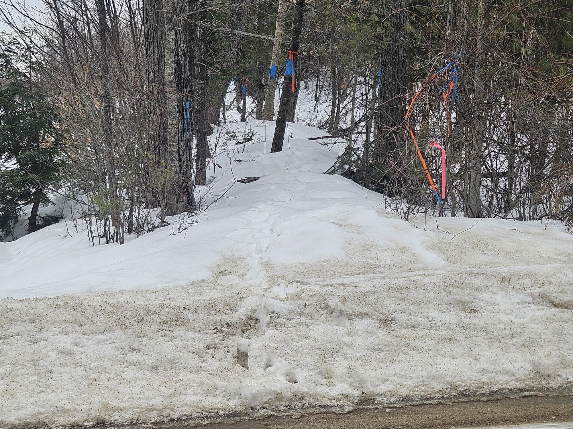 L52 Bridgton Road Harrison, ME 04040 - Photo 11 of 21 20260220_101942