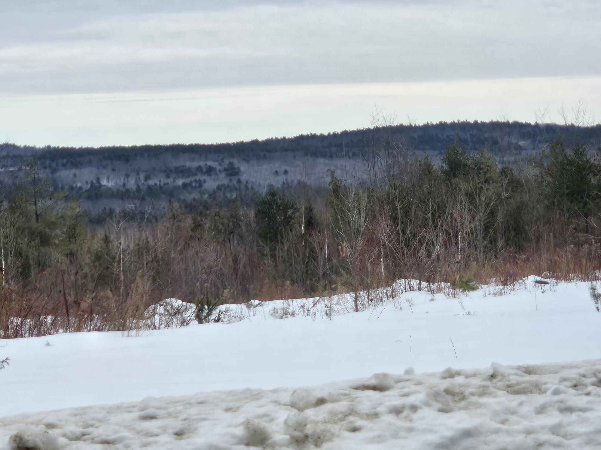 L52 Bridgton Road Harrison, ME 04040 - Photo 3 of 21 20260220_101803