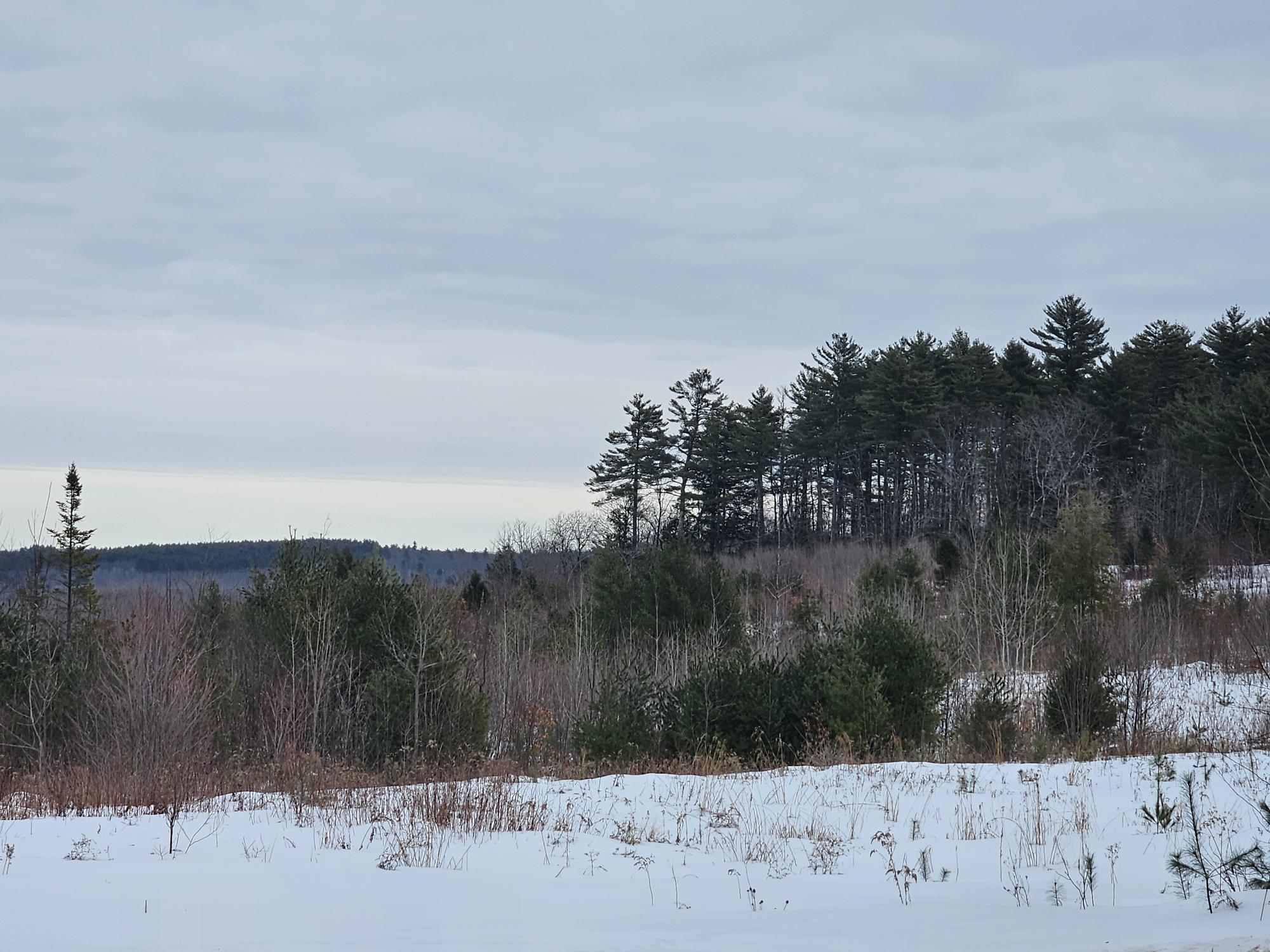 L52 Bridgton Road Harrison, ME 04040 - Photo 4 of 21 20260220_101817