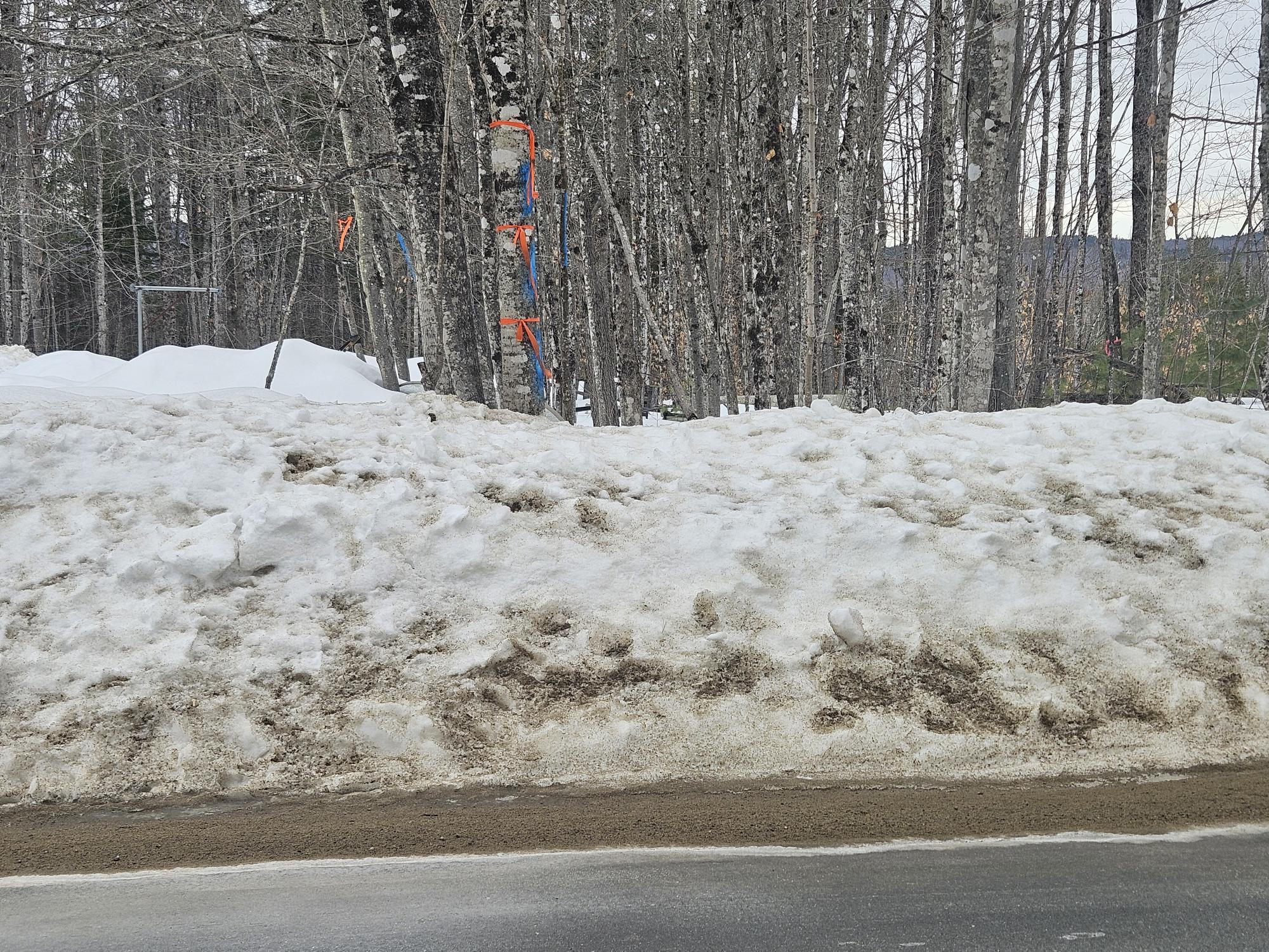 L52 Bridgton Road Harrison, ME 04040 - Photo 8 of 21 20260220_101715