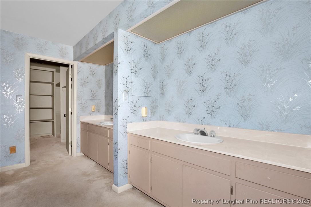 549 Rainforest Road Hope Mills, NC 28348 - Photo 19 of 40 a bathroom with a sink and a mirror