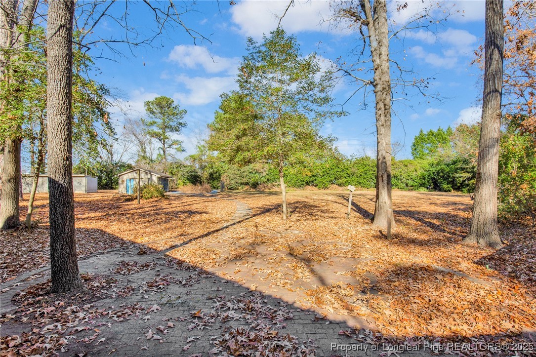 549 Rainforest Road Hope Mills, NC 28348 - Photo 32 of 40 a view of a yard with plants and trees
