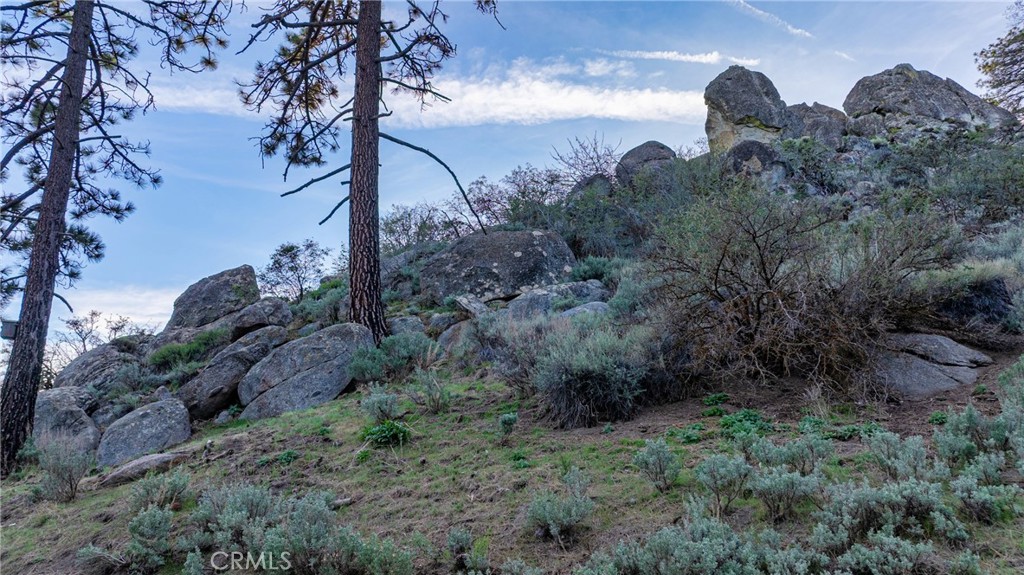 26820 Stirrup Way Tehachapi, CA 93561 - Photo 46 of 47
