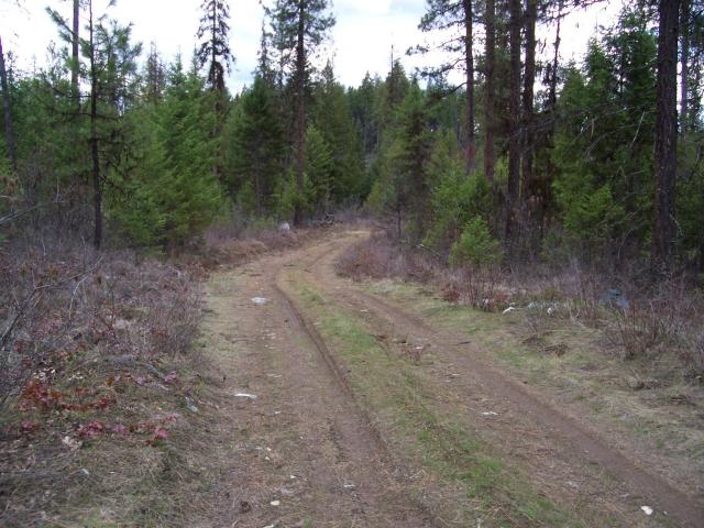 Tbd Sand Creek Road Kettle Falls, WA 99141 - Photo 4 of 9 Gallery Image 4