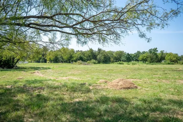 a view of a field with a tree in the background