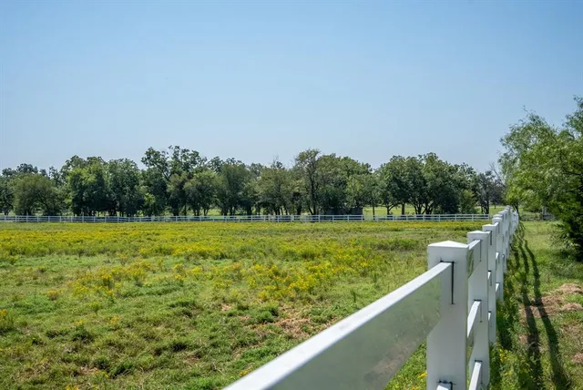 a view of a garden from a balcony