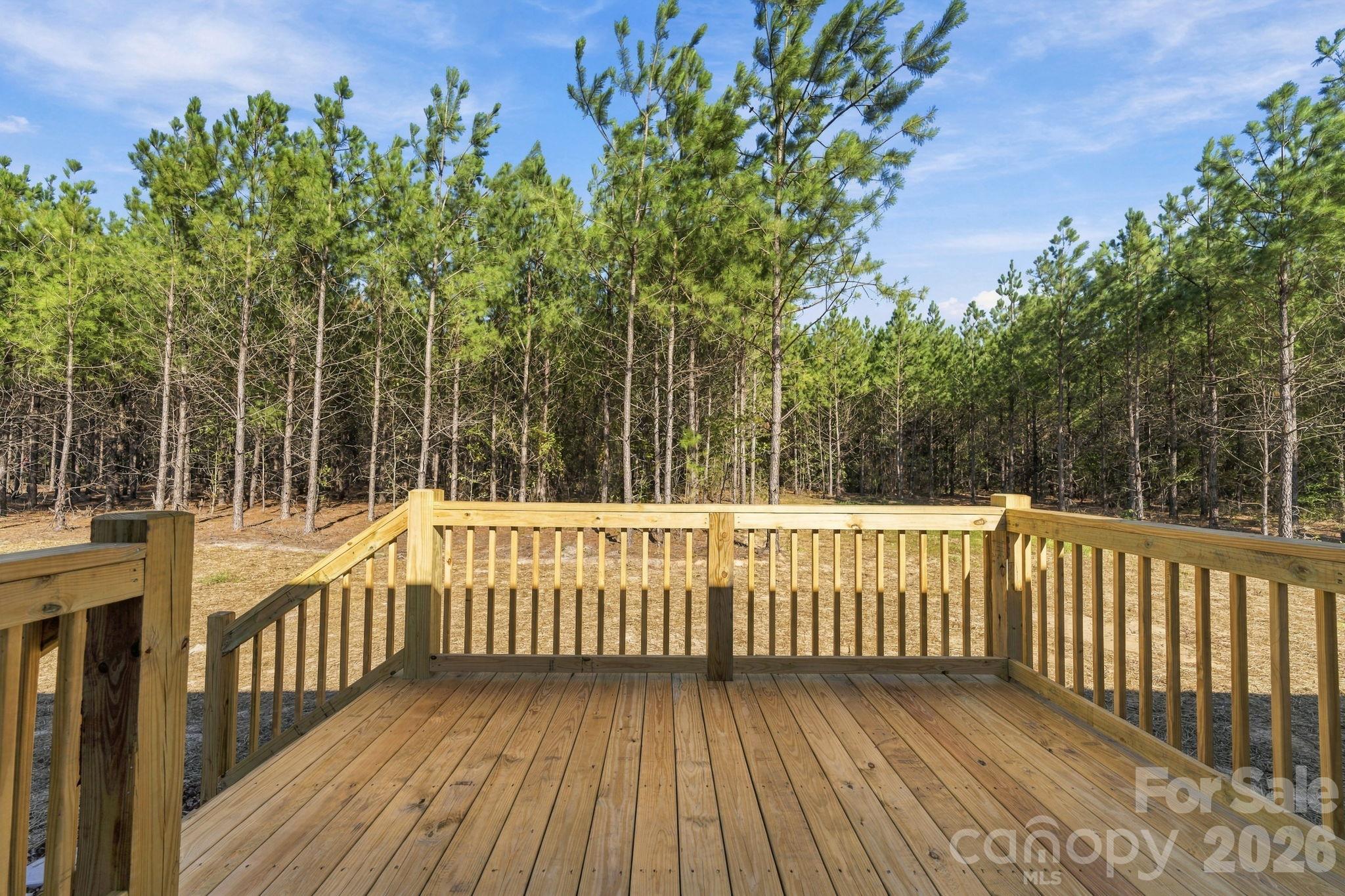 869 Windblow Road Jackson Springs, NC 27281 - Photo 25 of 25 Gallery Image 25