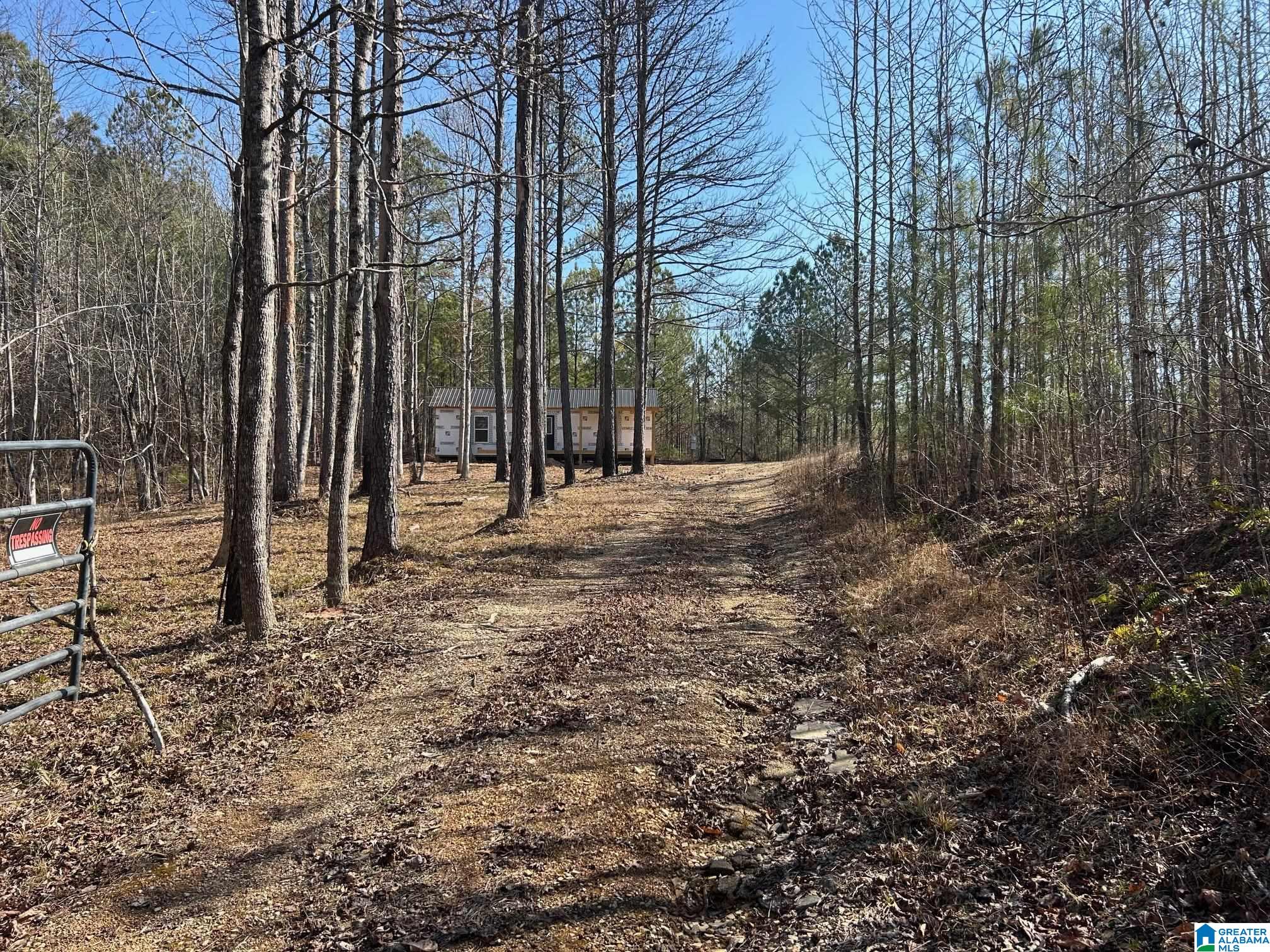 203 Pope Road Ohatchee, AL 36271 - Photo 25 of 31