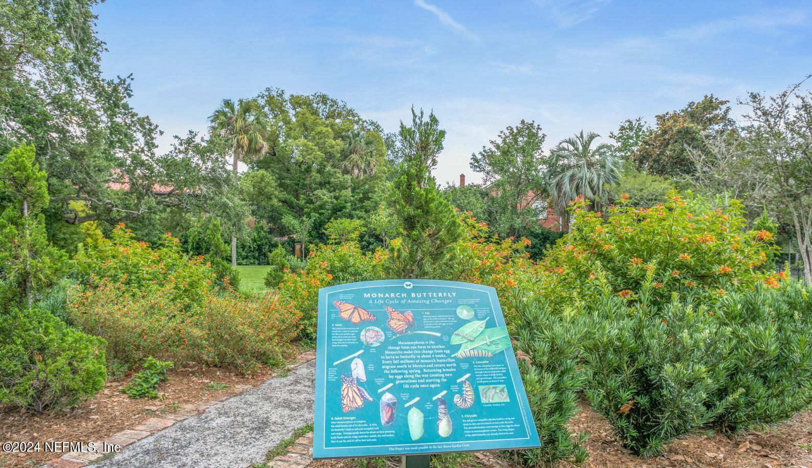 1515 Berwick Road Jacksonville, FL 32207 - Photo 47 of 56 Butterfly garden