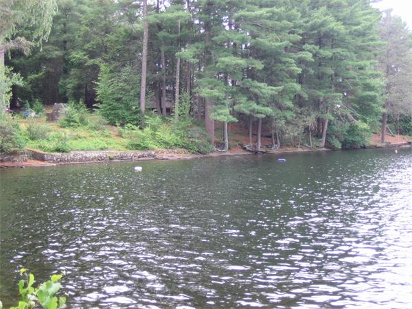 107 West Millbury Road Sutton, MA 01590 - Photo 9 of 26 a backyard of a house with lots of green space