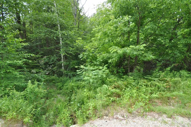 $550,000 | 39 Birch Glen Drive, Bennington, NH 03442