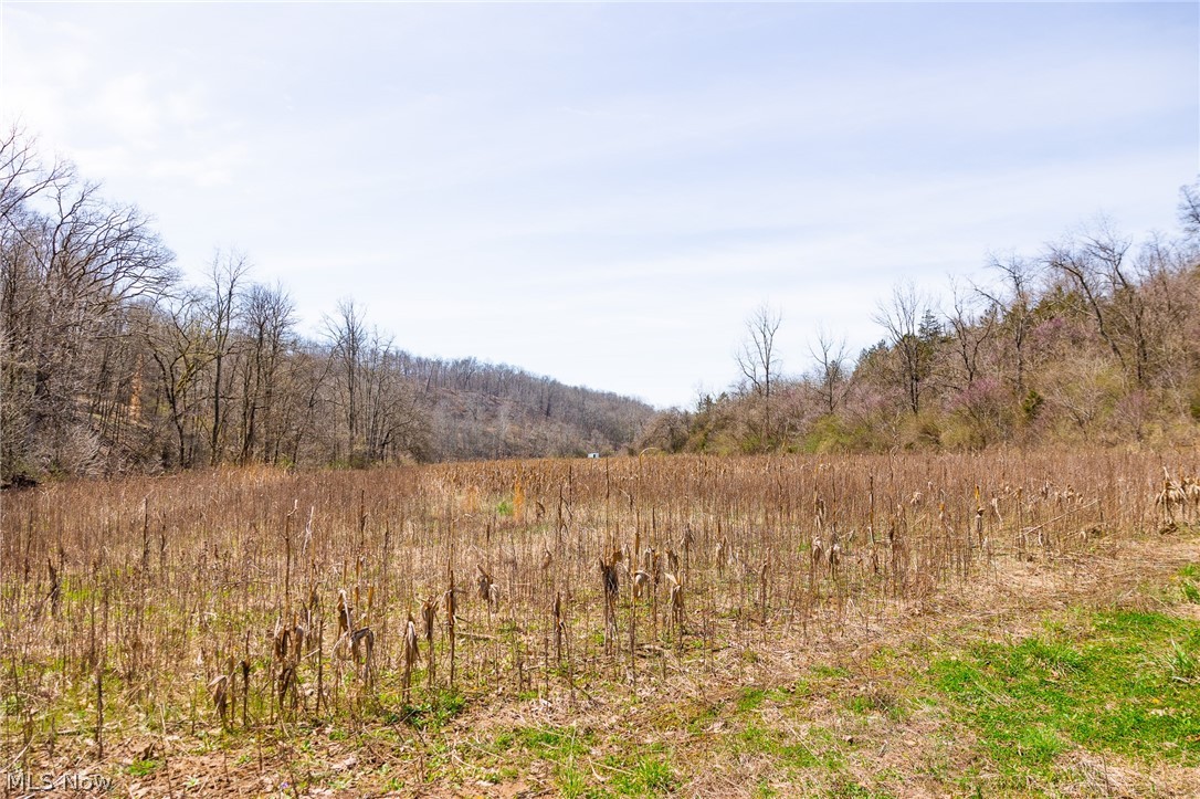 East Branch Road Lowell, OH 45744 - Photo 10 of 29